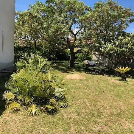 Tenuta Le Muzze 6 Posti Letto Serrano